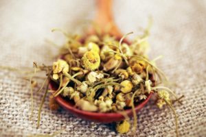 chamomile 300x200 - 10 Best DIY Home Remedies for Acne